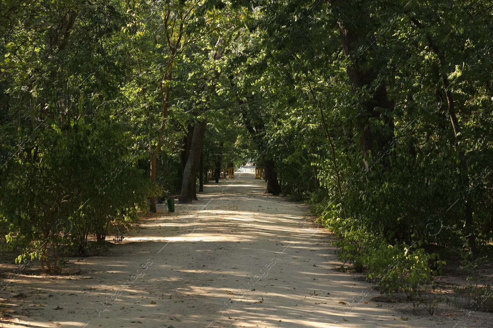 Photo of Pathway in beautiful park with green trees on sunny day