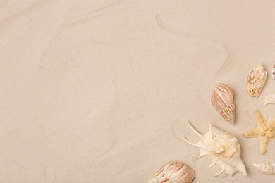 Photo of Flat lay composition with sea shells, starfish and space for text on beach sand