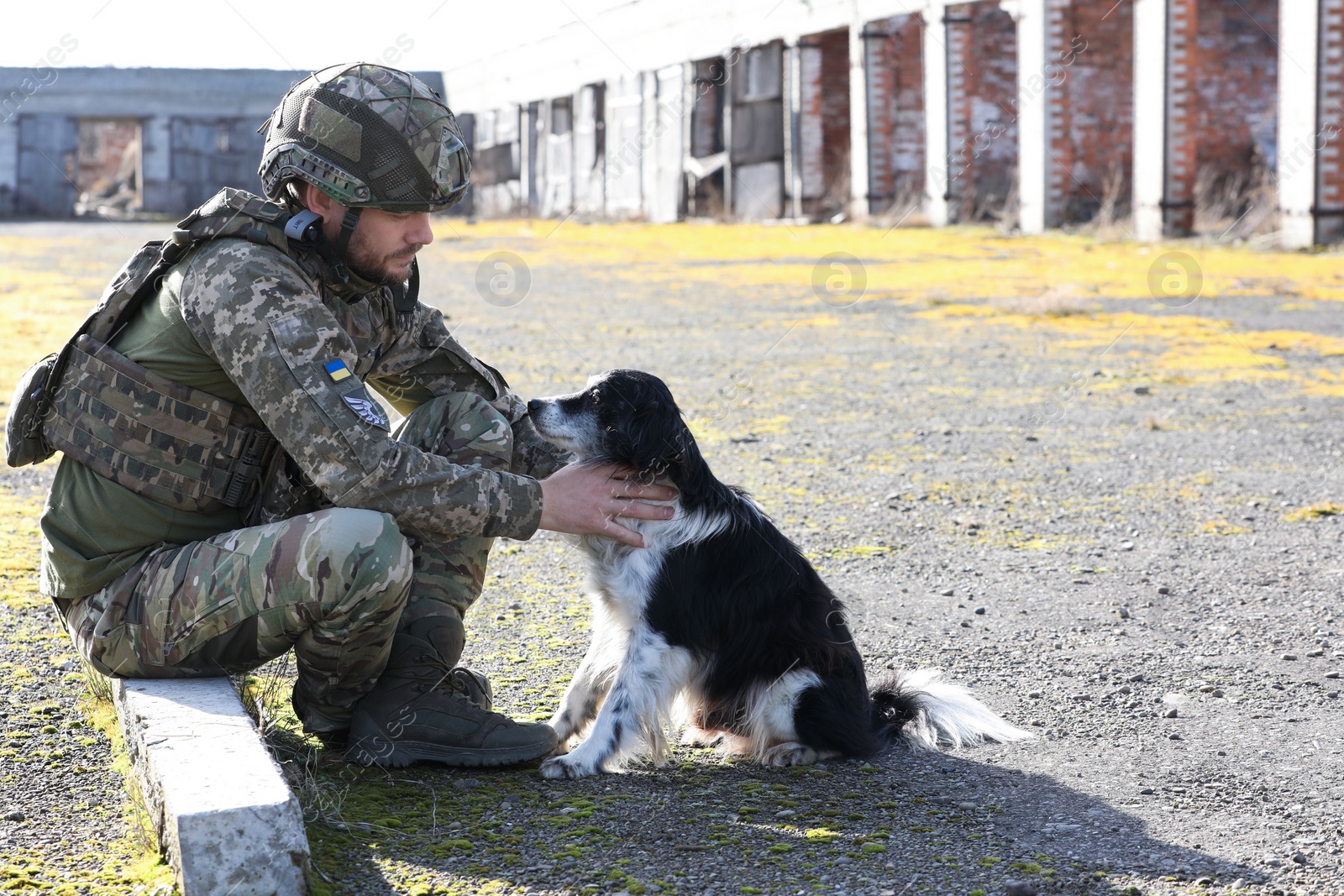 Photo of Ukrainian soldier with stray dog outdoors on sunny day. Space for text