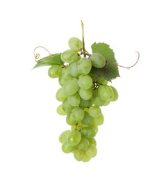 Fresh ripe grapes and leaves isolated on white