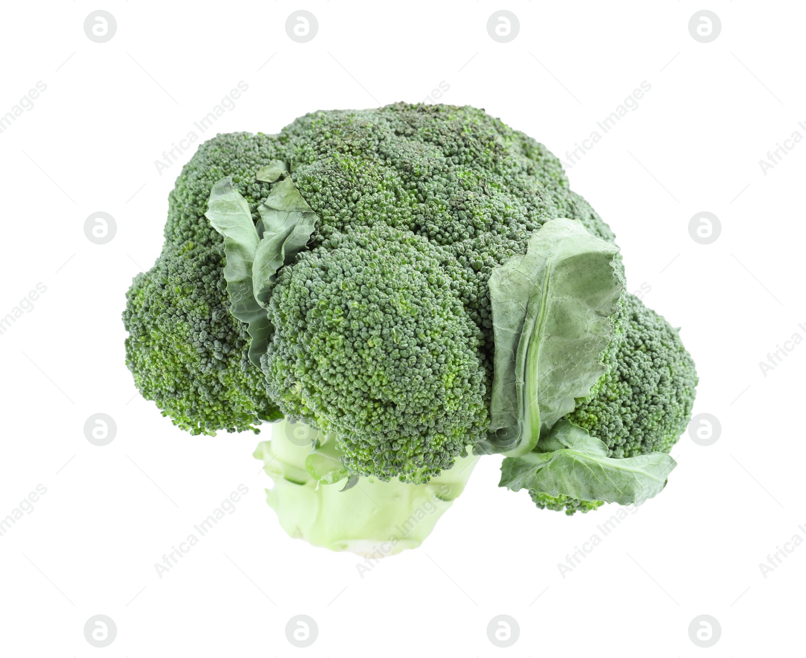 Photo of Fresh green broccoli isolated on white. Organic food