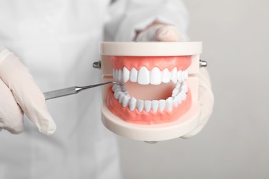 Photo of Dentist showing typodont teeth with tool on light background, closeup