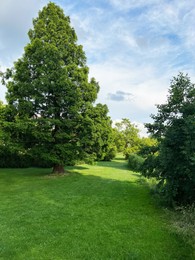 Photo of Picturesque view of beautiful park with fresh green grass and trees on sunny day