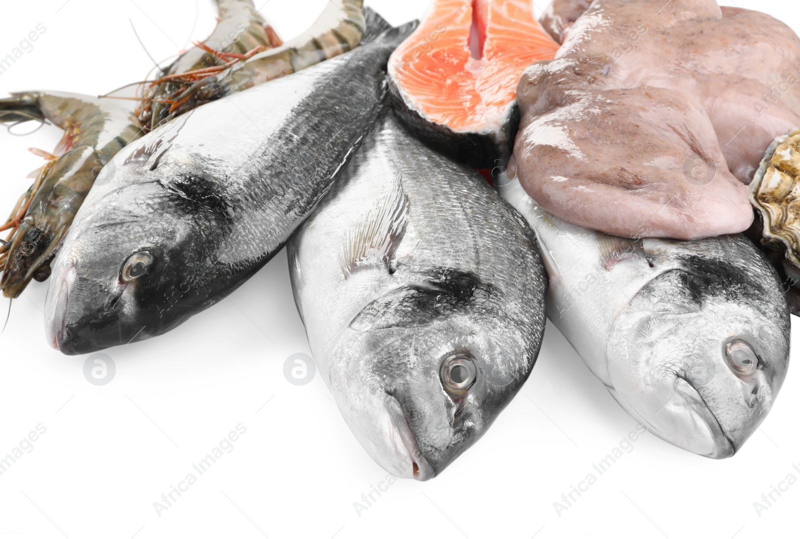 Photo of Fresh dorado fish, octopus and salmon on white background, closeup