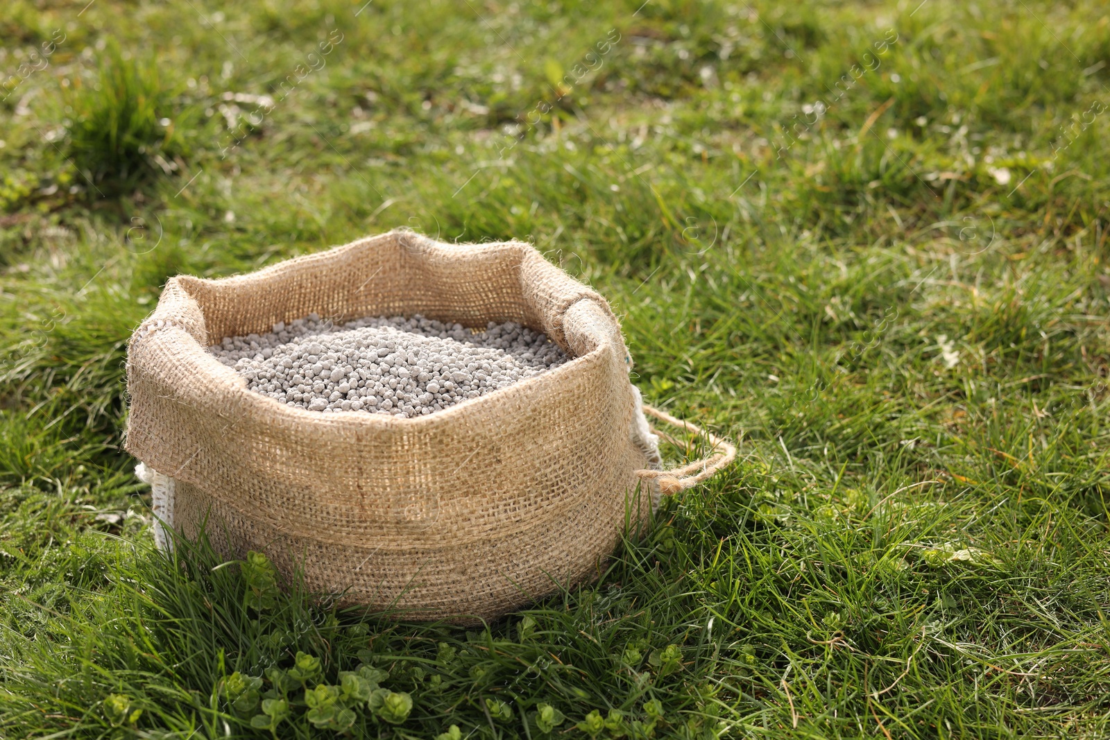 Photo of Fertilizer in bag on green grass outdoors, space for text