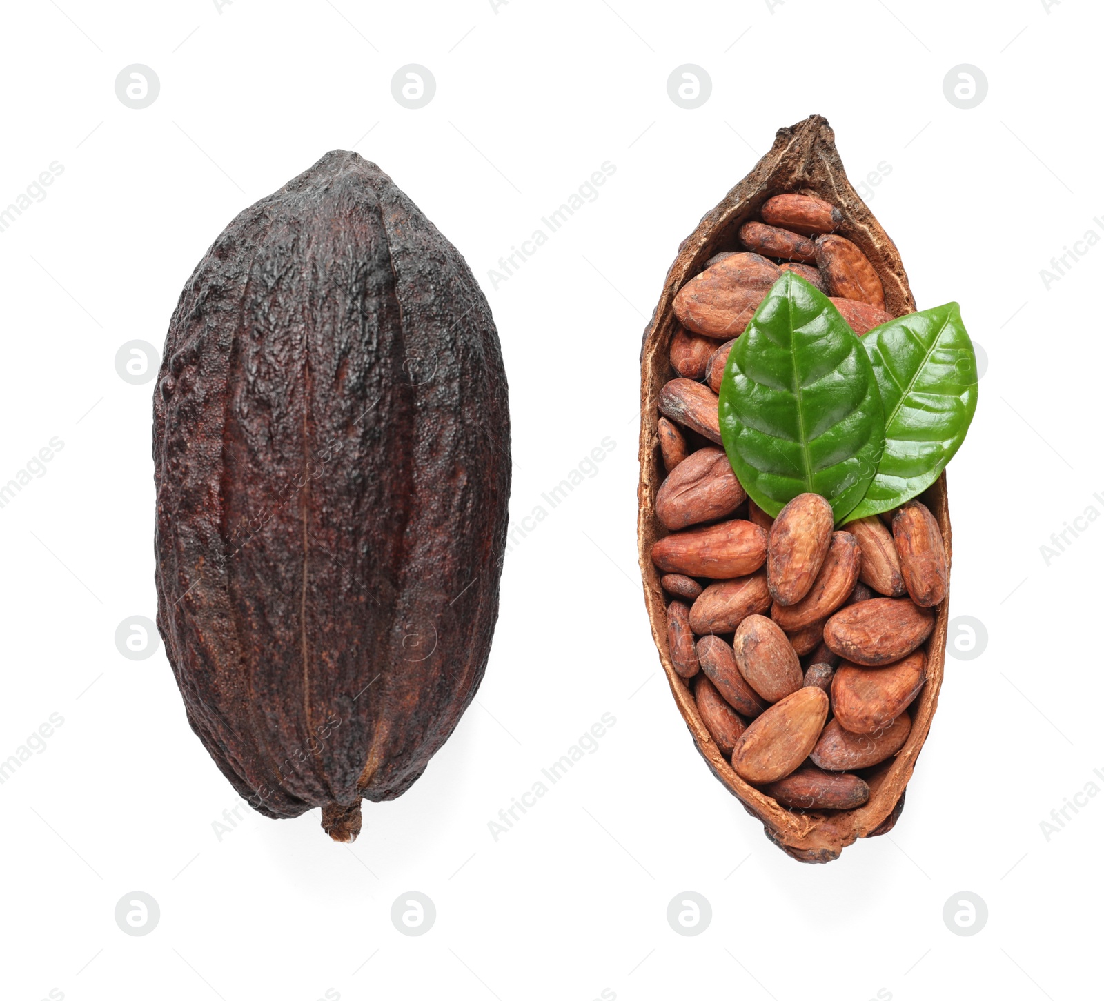 Photo of Cocoa pods and beans with leaves on white background, top view