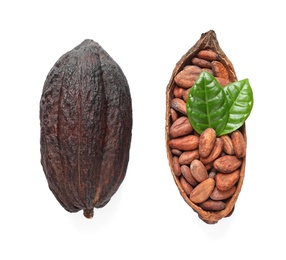 Photo of Cocoa pods and beans with leaves on white background, top view