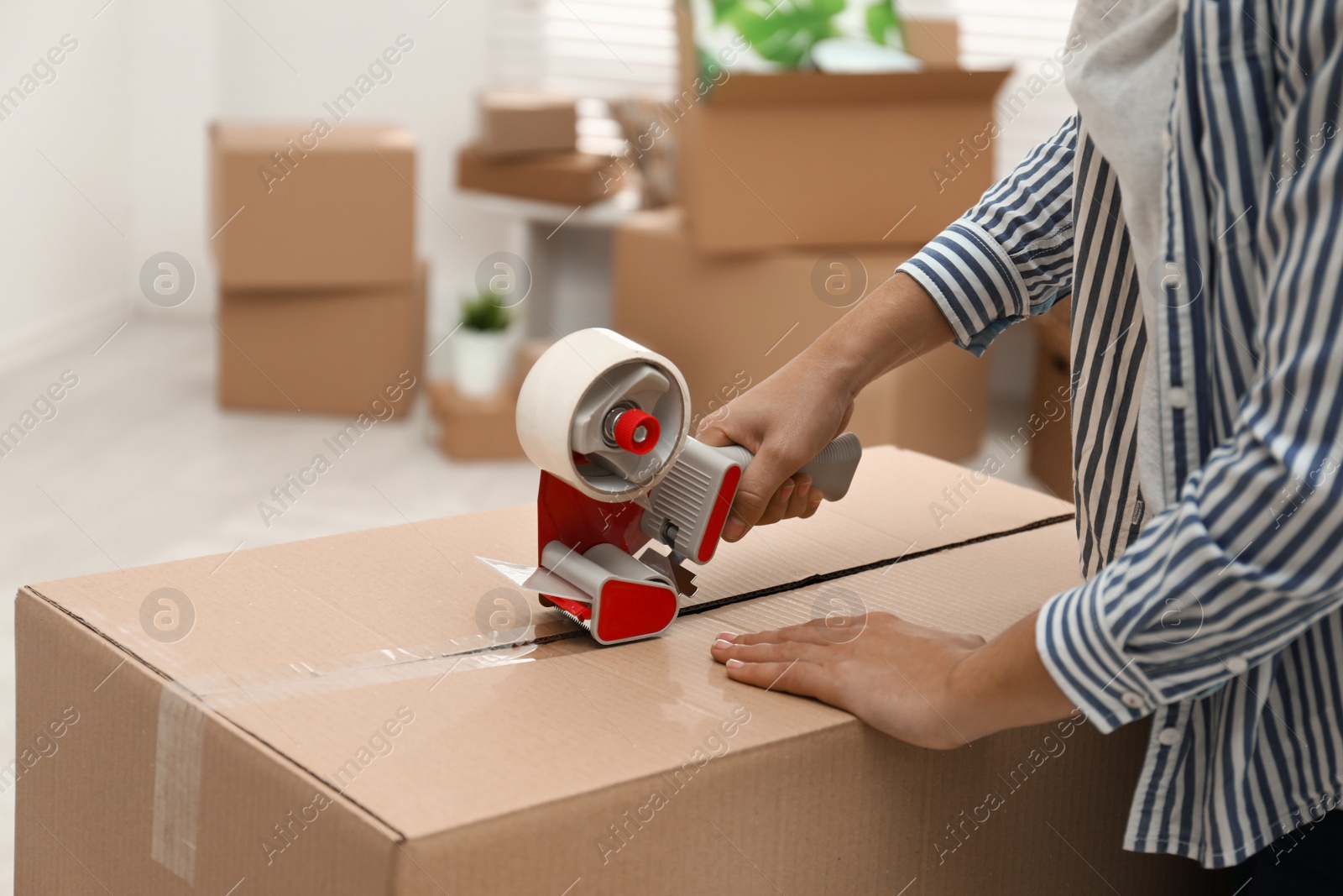 Photo of Woman packing cardboard box indoors, closeup. Moving day