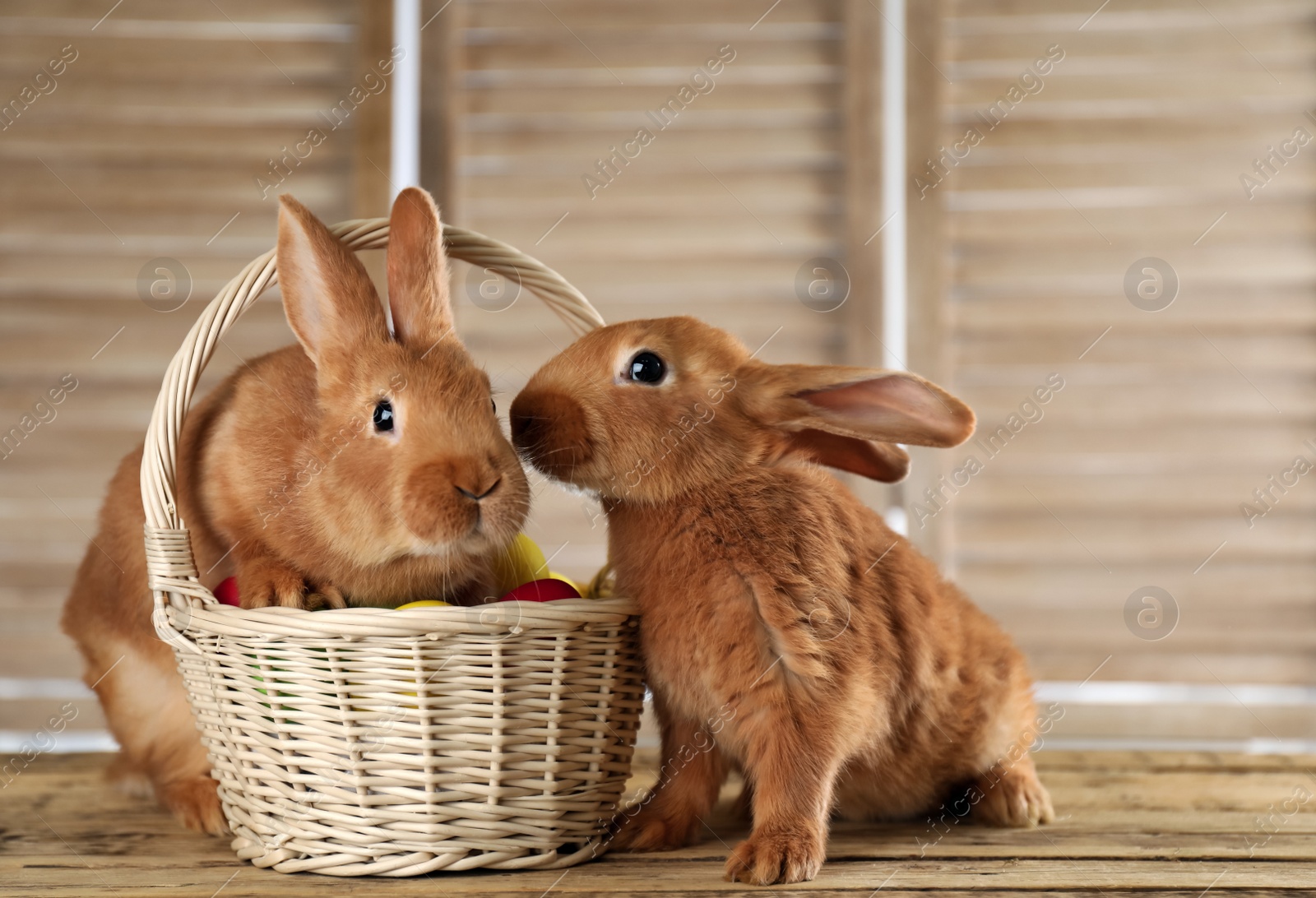 Photo of Cute bunnies and basket with Easter eggs on wooden table against blurred background