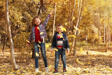 Photo of Cute little children having fun in park. Autumn walk