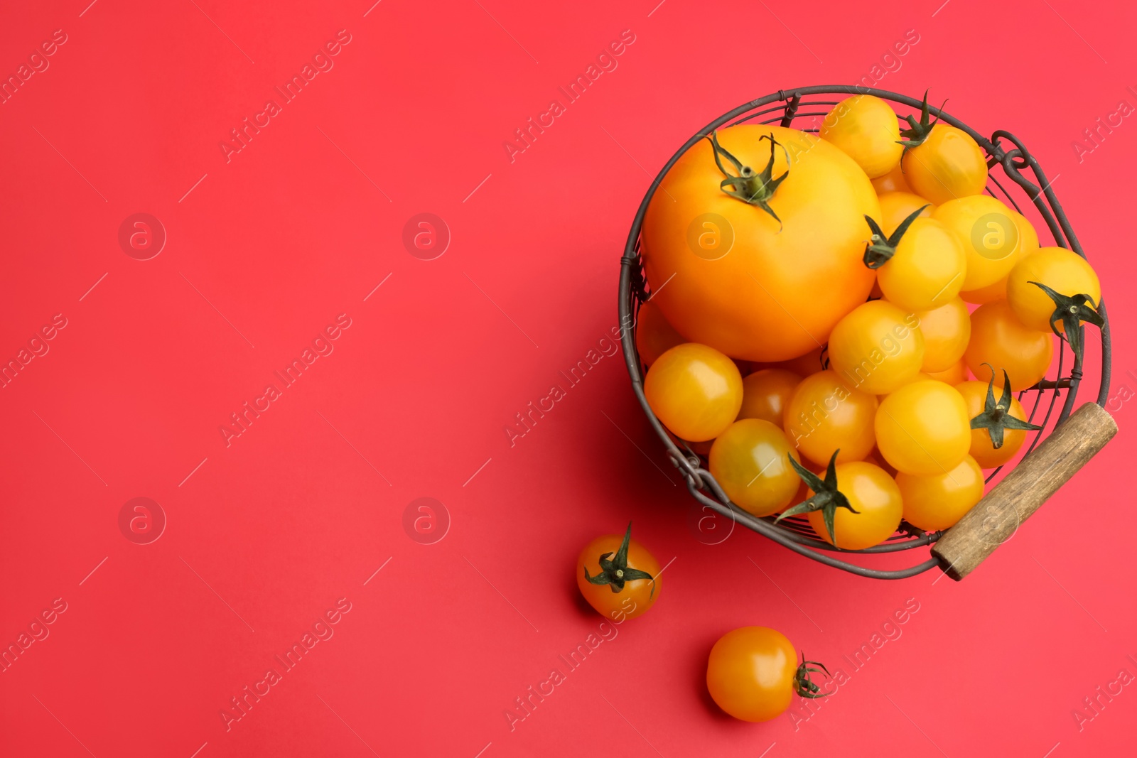 Photo of Yellow tomatoes in metal basket on red background, flat lay. Space for text