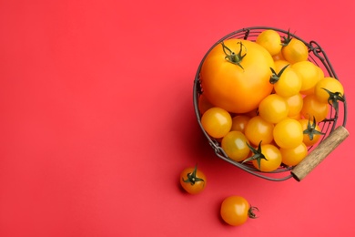 Photo of Yellow tomatoes in metal basket on red background, flat lay. Space for text