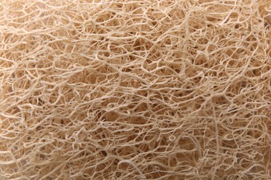 Loofah sponge as background, closeup. Personal hygiene product