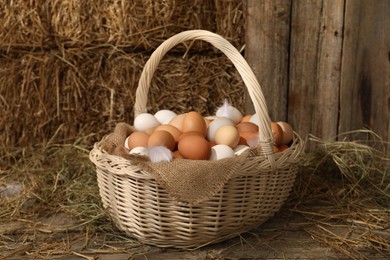 Photo of Wicker basket with fresh chicken eggs and dried straw in henhouse