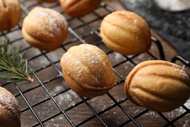 Photo of Delicious nut shaped cookies with powdered sugar on baking grid, closeup