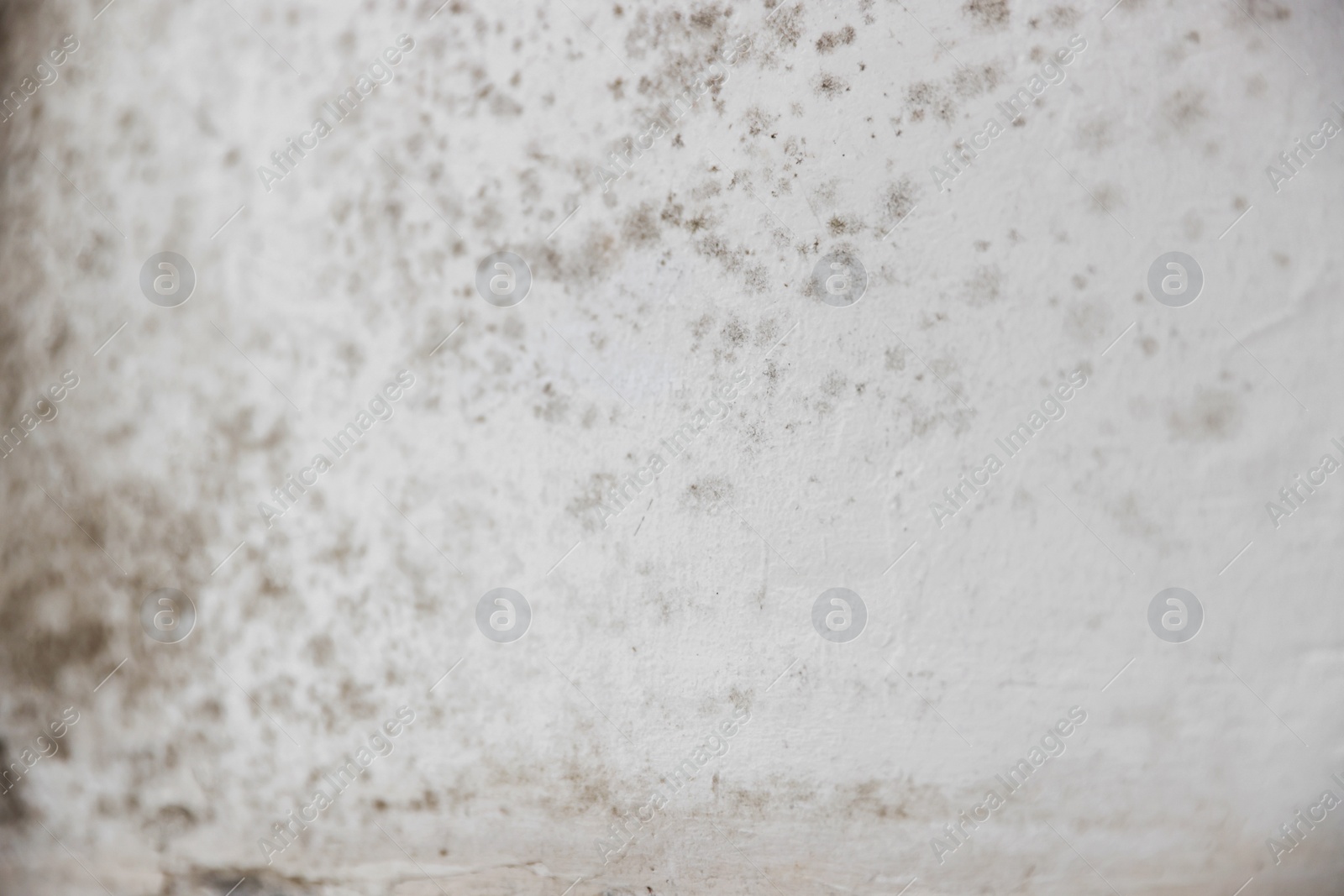 Photo of Wall damaged with indoor mold, closeup. Unsanitary environment