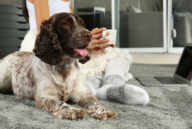 Photo of Adorable Russian Spaniel with owner on grey carpet, closeup view. Space for text