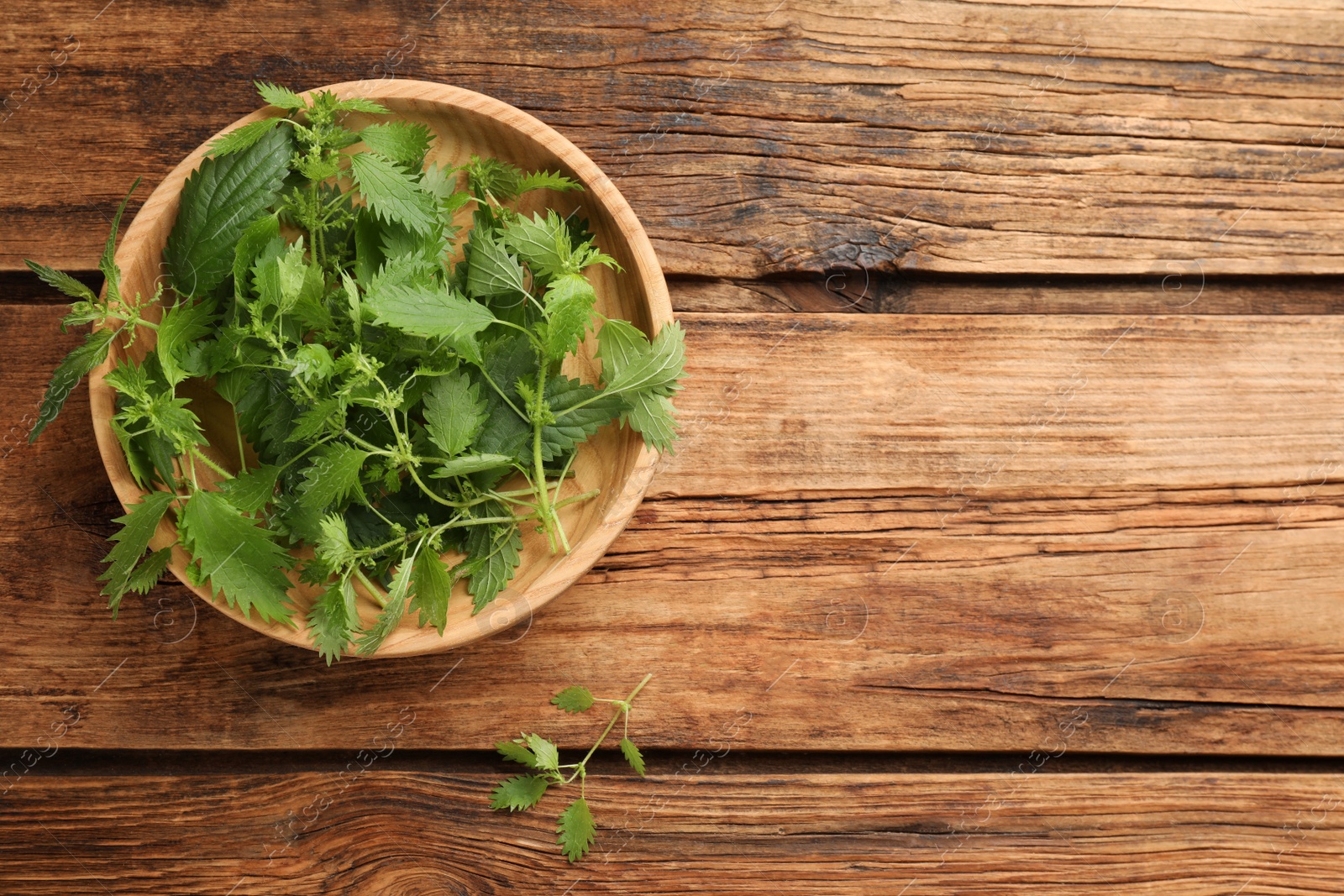 Photo of Fresh stinging nettle leaves on wooden table, flat lay. Space for text