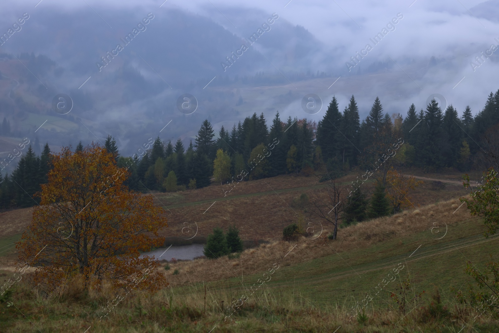 Photo of Beautiful view of mountains covered with fog