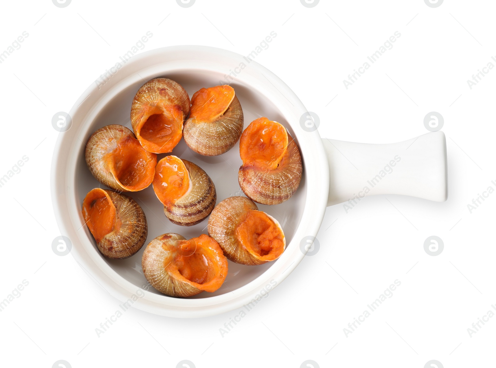 Photo of Delicious cooked snails isolated on white, top view