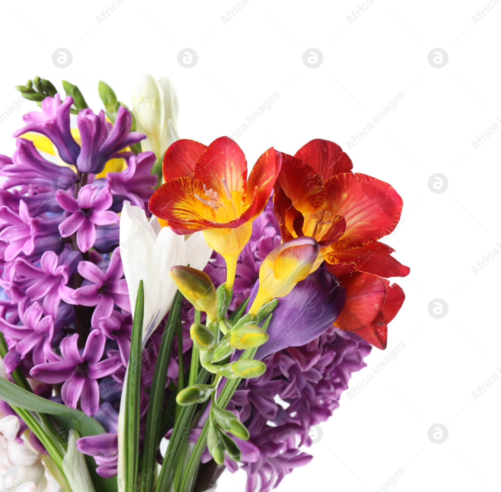 Photo of Bouquet of beautiful spring flowers on white background