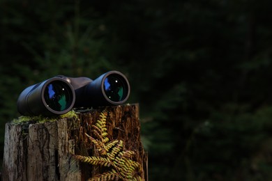 Binoculars on tree stump in forest, space for text