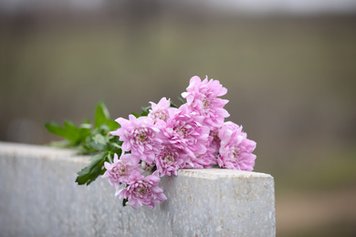 Chrysanthemum flowers on light grey granite tombstone outdoors. Funeral ceremony