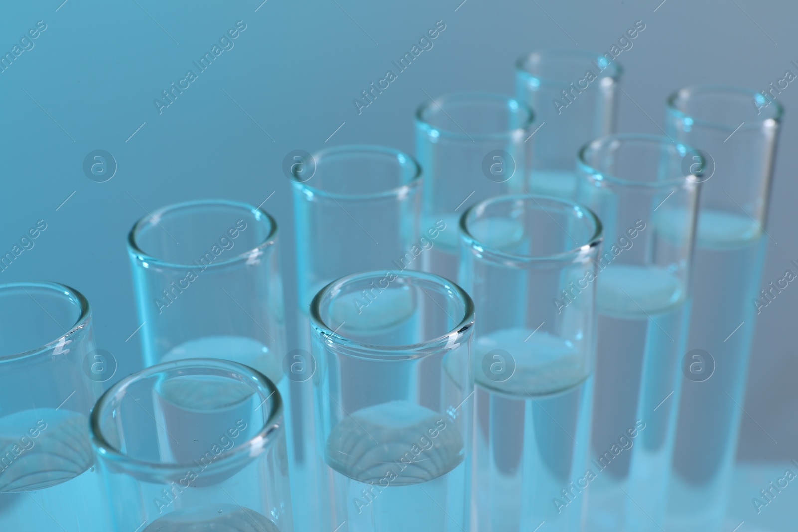 Photo of Laboratory analysis. Many glass test tubes on light blue background, closeup