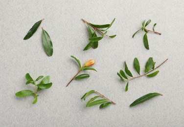 Pomegranate branches with green leaves and bud on light grey background, flat lay