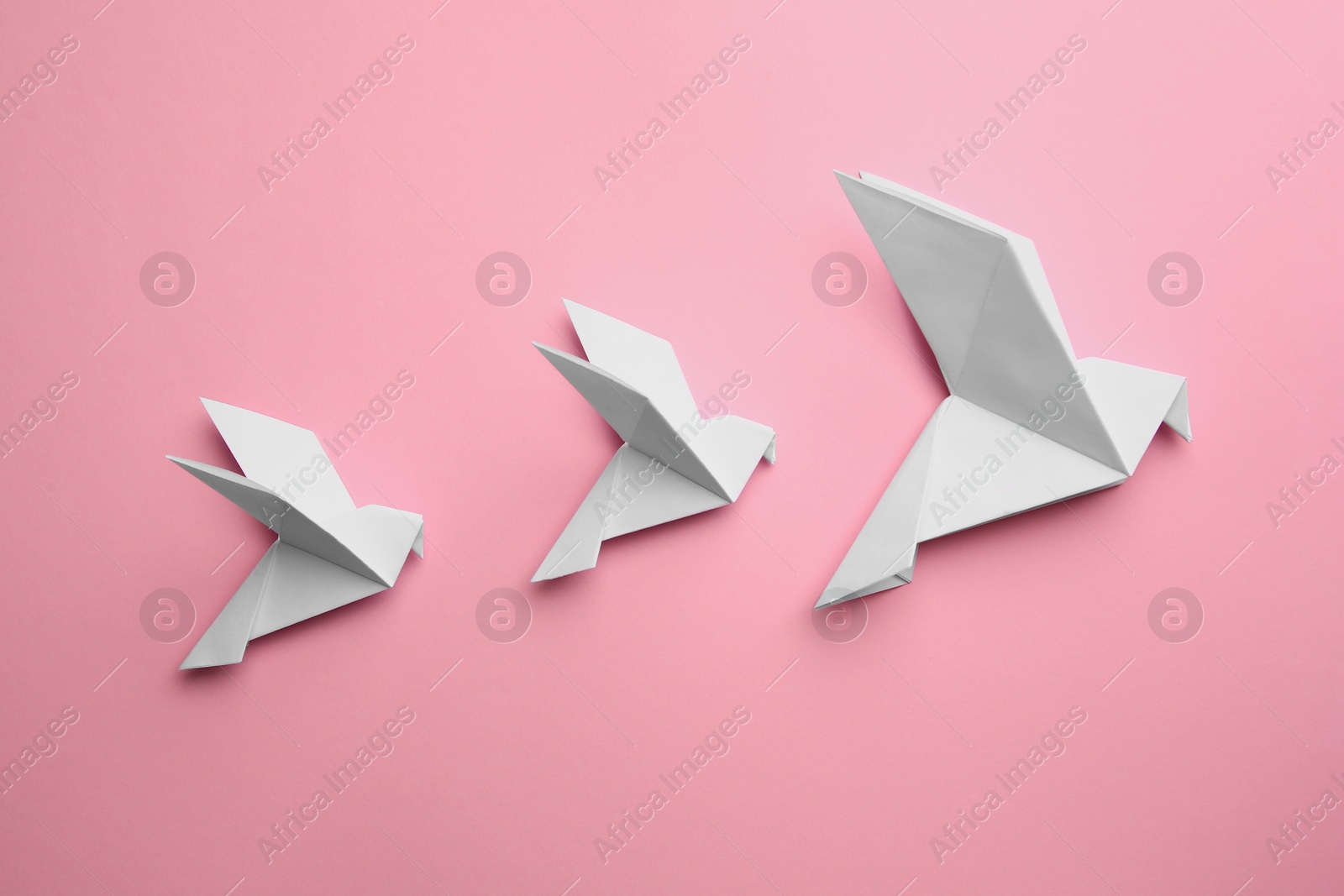 Photo of Beautiful origami birds on pink background, flat lay