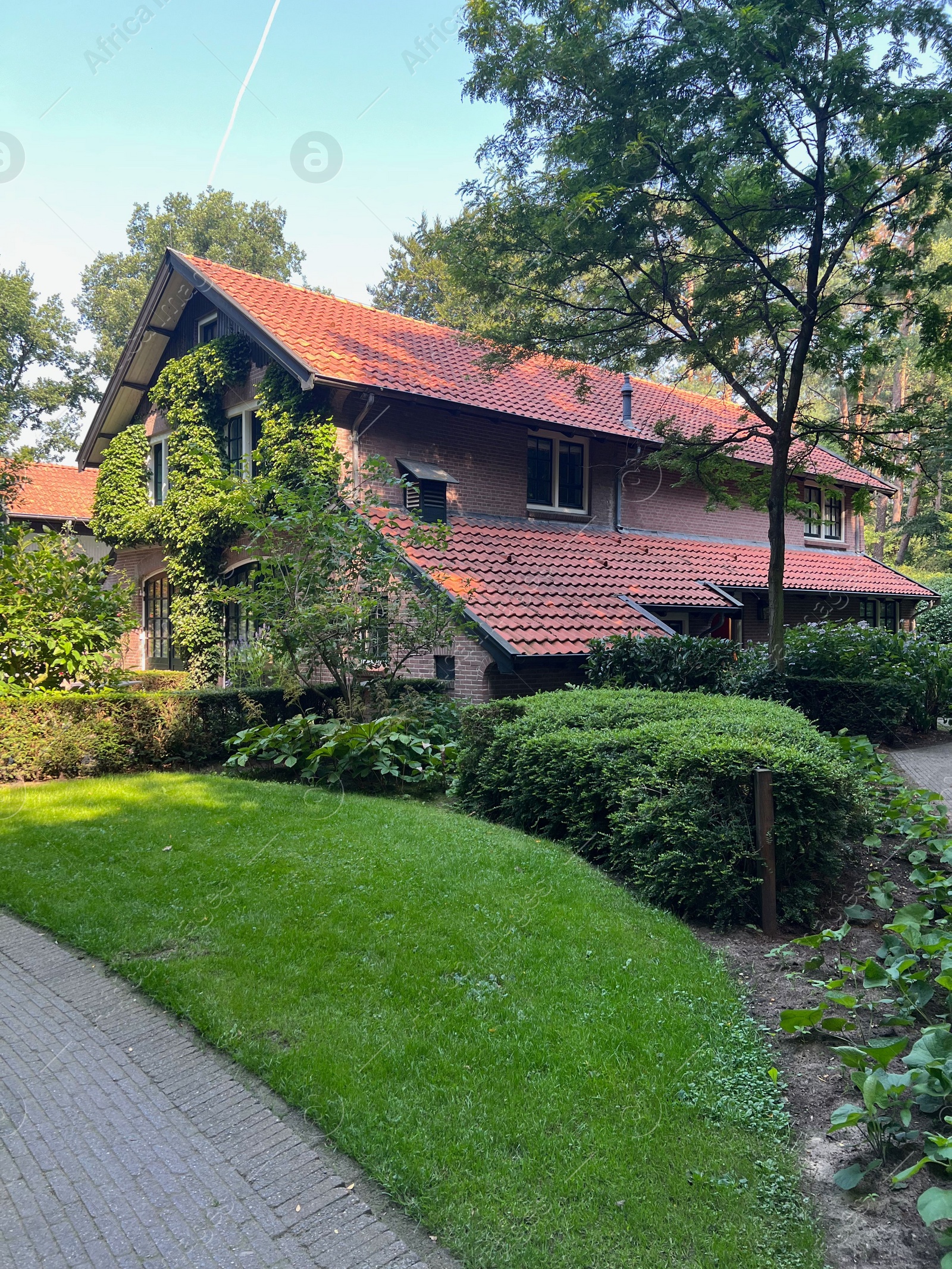 Photo of Picturesque view of beautiful house and plants on sunny day