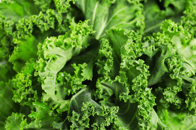 Fresh green kale leaves as background, closeup