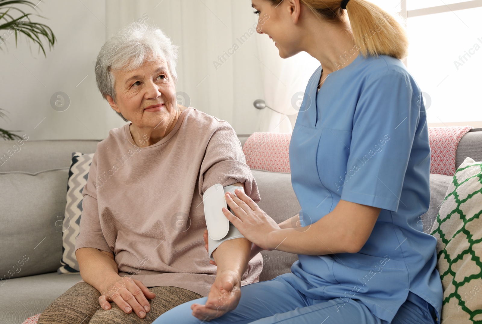 Photo of Nurse measuring blood pressure of elderly woman indoors. Assisting senior people