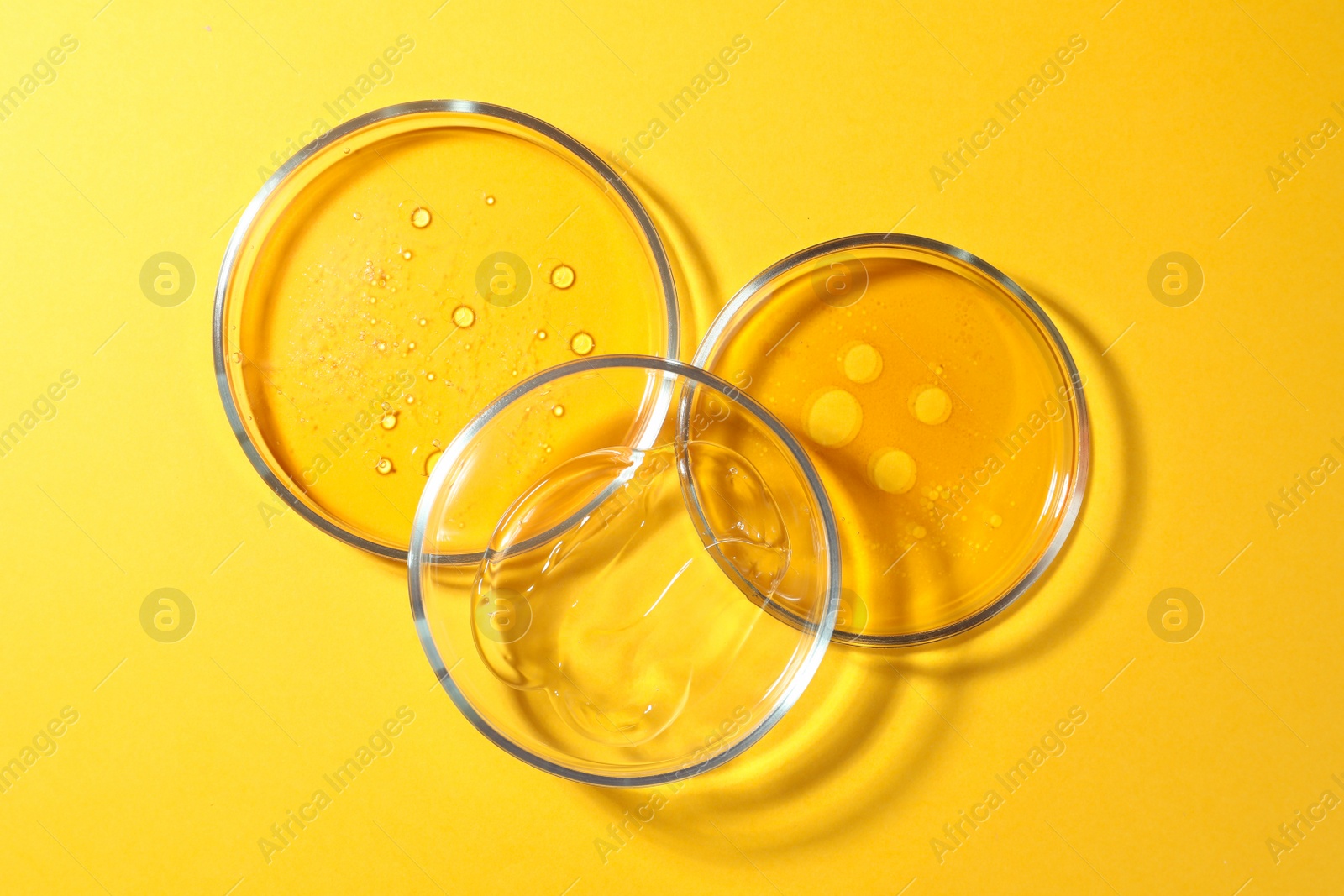 Photo of Petri dishes with liquids on orange background, flat lay