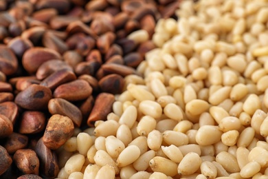 Photo of Pile of pine nuts as background, closeup