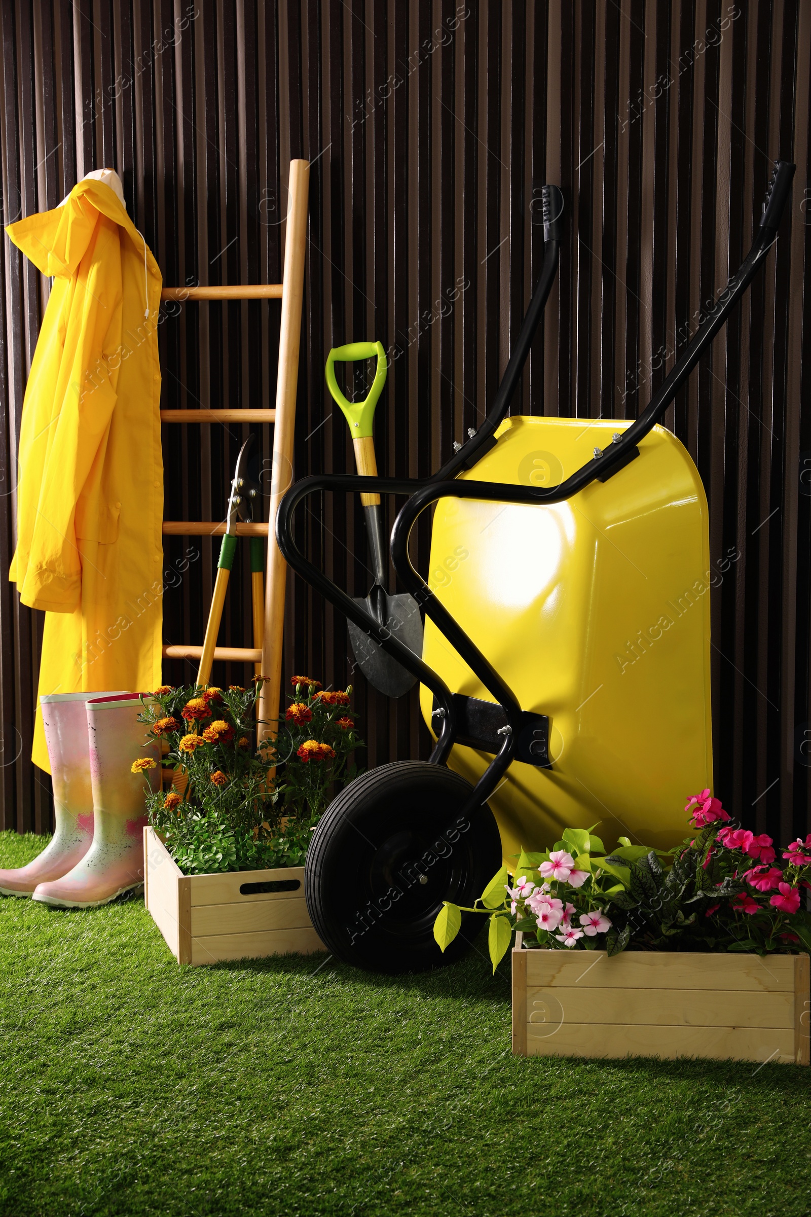 Photo of Wheelbarrow, blooming plants, gardening tools and accessories on green grass near wood slat wall