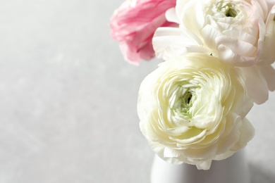 Photo of Beautiful ranunculus flowers on light background, closeup