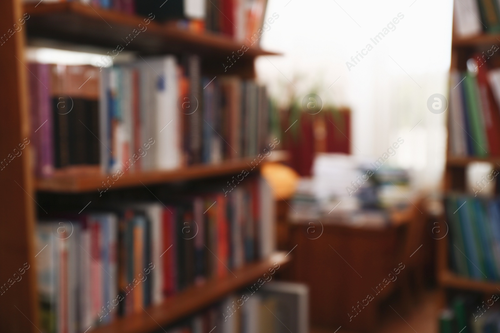 Photo of Blurred view of different books on shelves in library