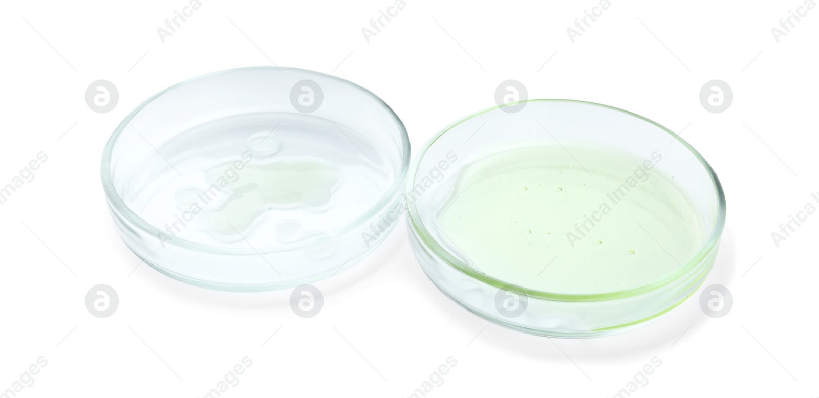 Photo of Petri dishes with different liquids on white background