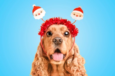 Image of Cute surprised Cocker Spaniel dog with big eyes on light blue background