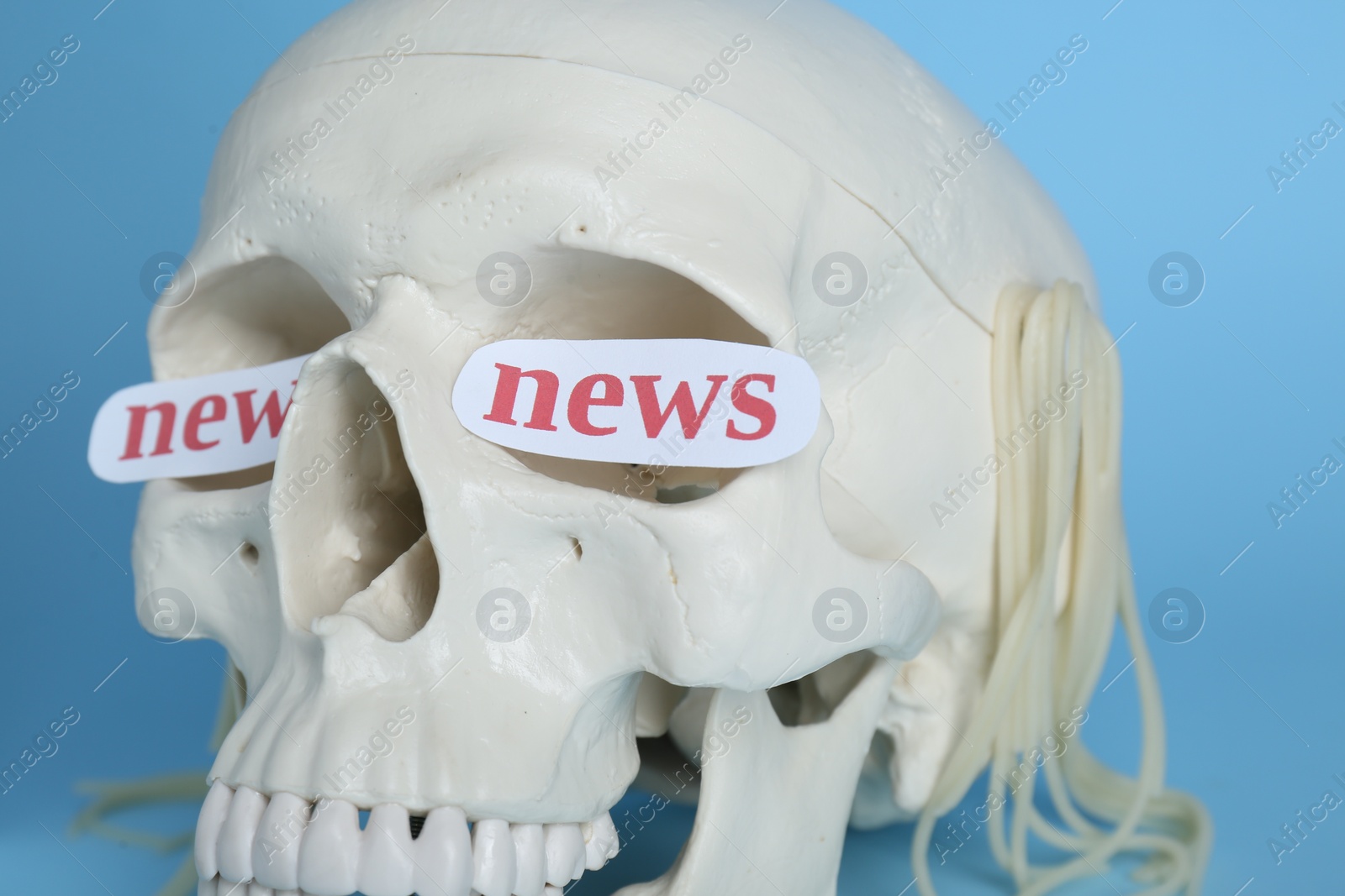 Photo of Information and media warfare concept. Human skull with noodles and words News in eye sockets on light blue background, closeup