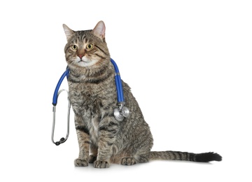 Photo of Cute cat with stethoscope as veterinarian on white background
