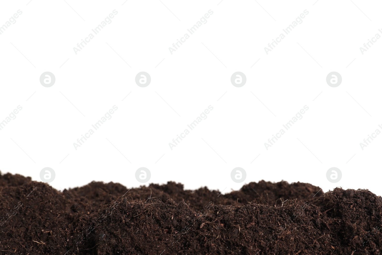 Photo of Layer of fresh soil isolated on white. Gardening time