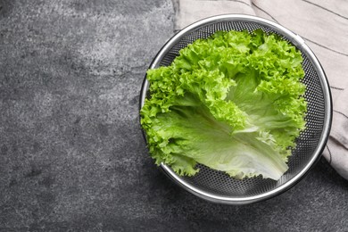 Photo of Fresh lettuce on stone table, top view. Space for text