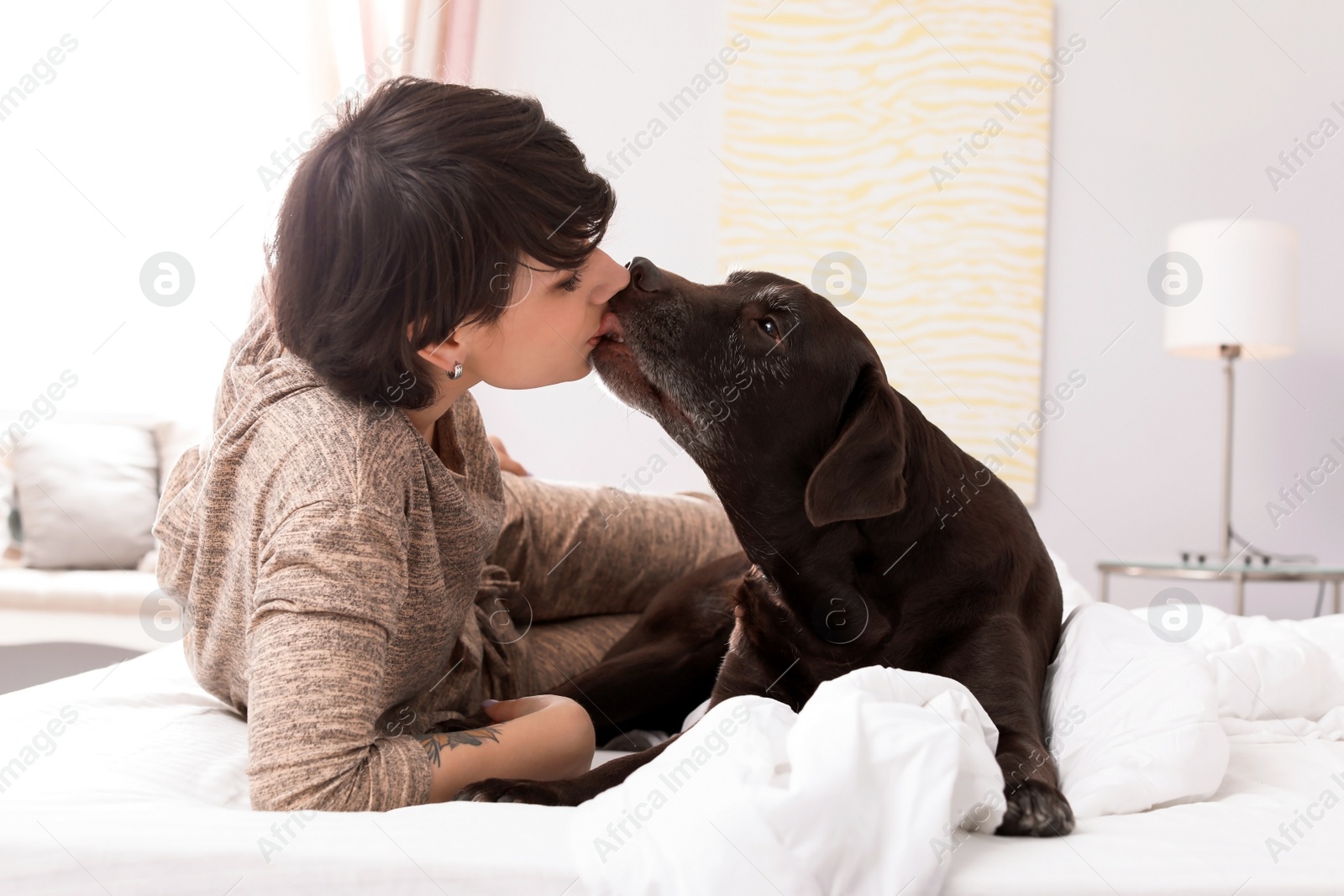 Photo of Adorable brown labrador retriever with owner on bed indoors