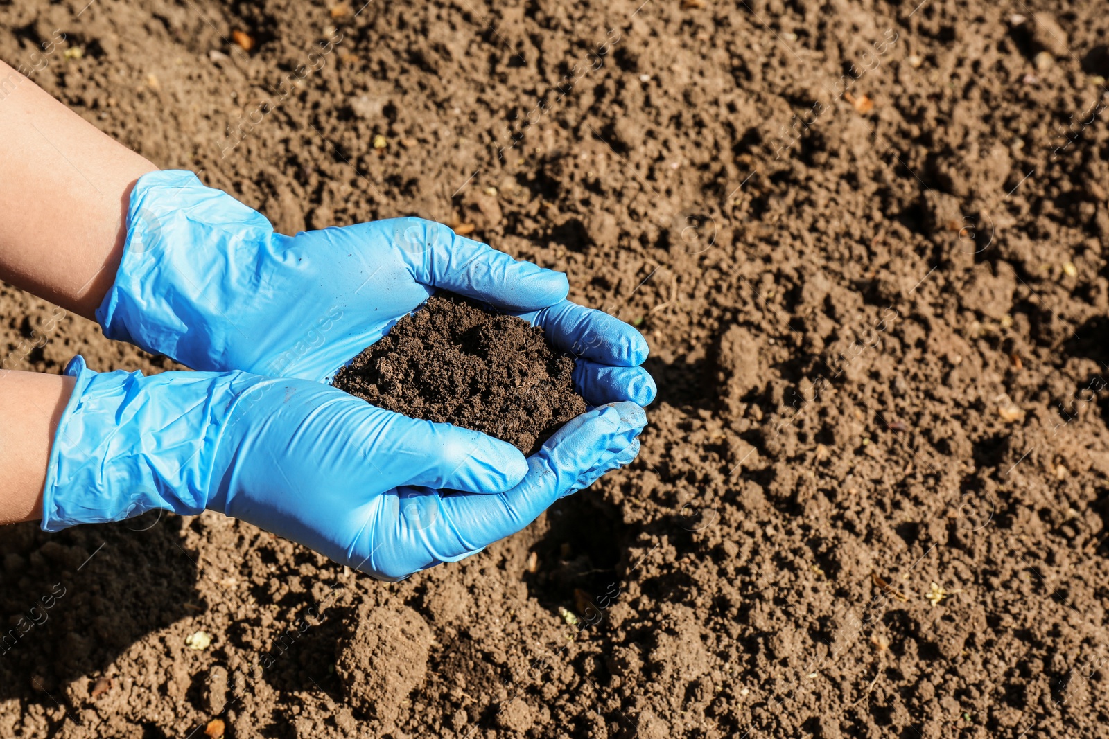 Photo of Scientist holding pile of soil above ground, closeup. Space for text