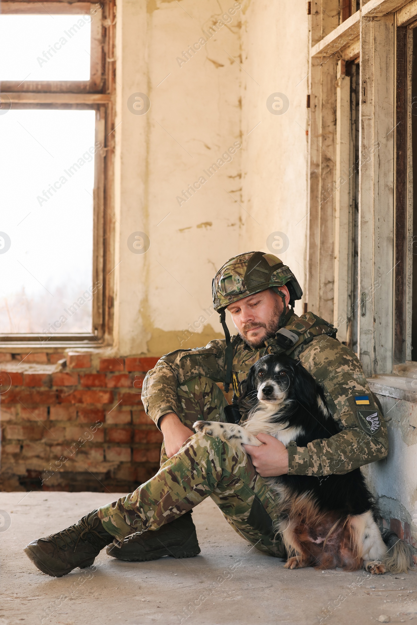 Photo of Ukrainian soldier sitting with stray dog in abandoned building