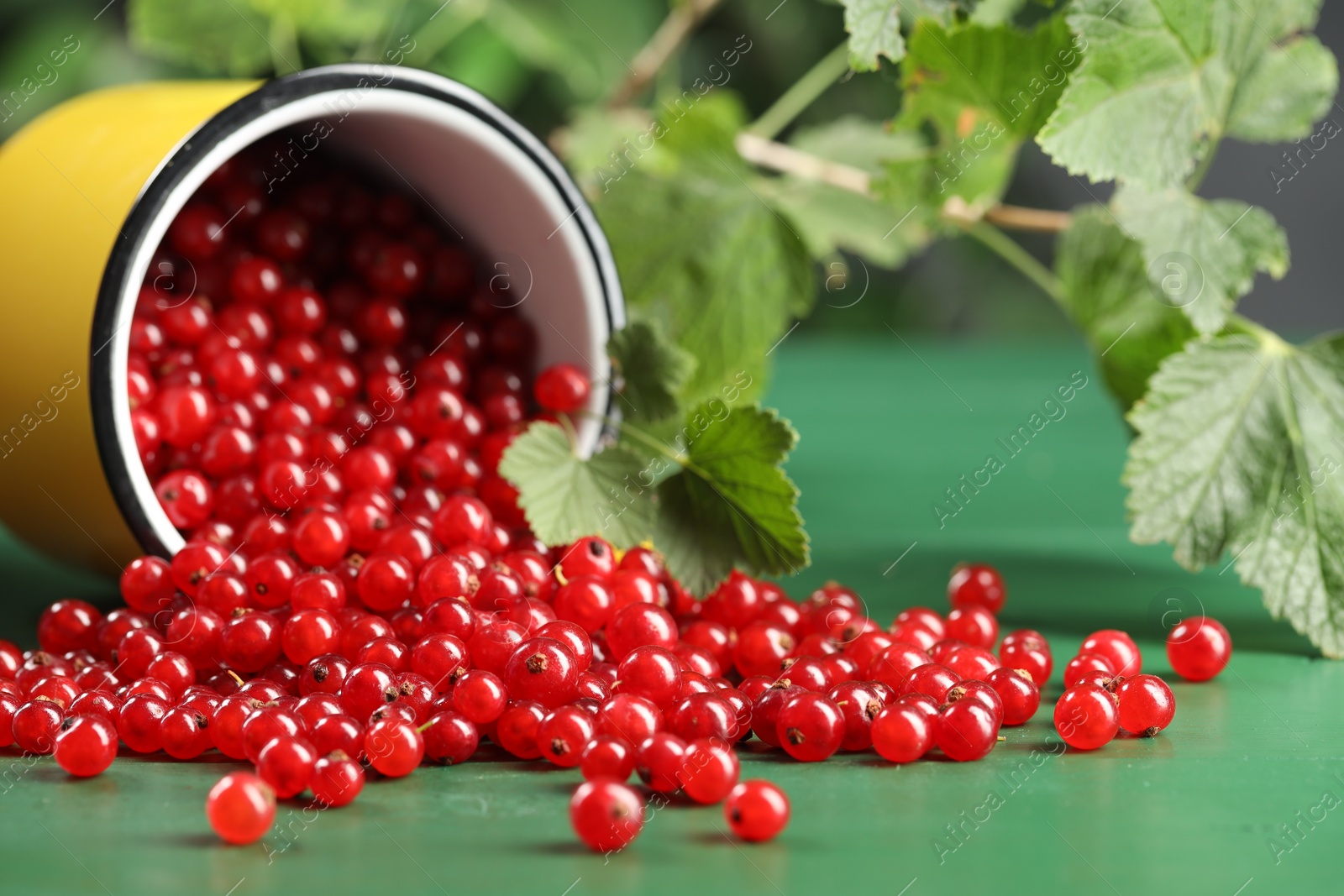 Photo of Many ripe red currants, mug and leaves on green wooden table