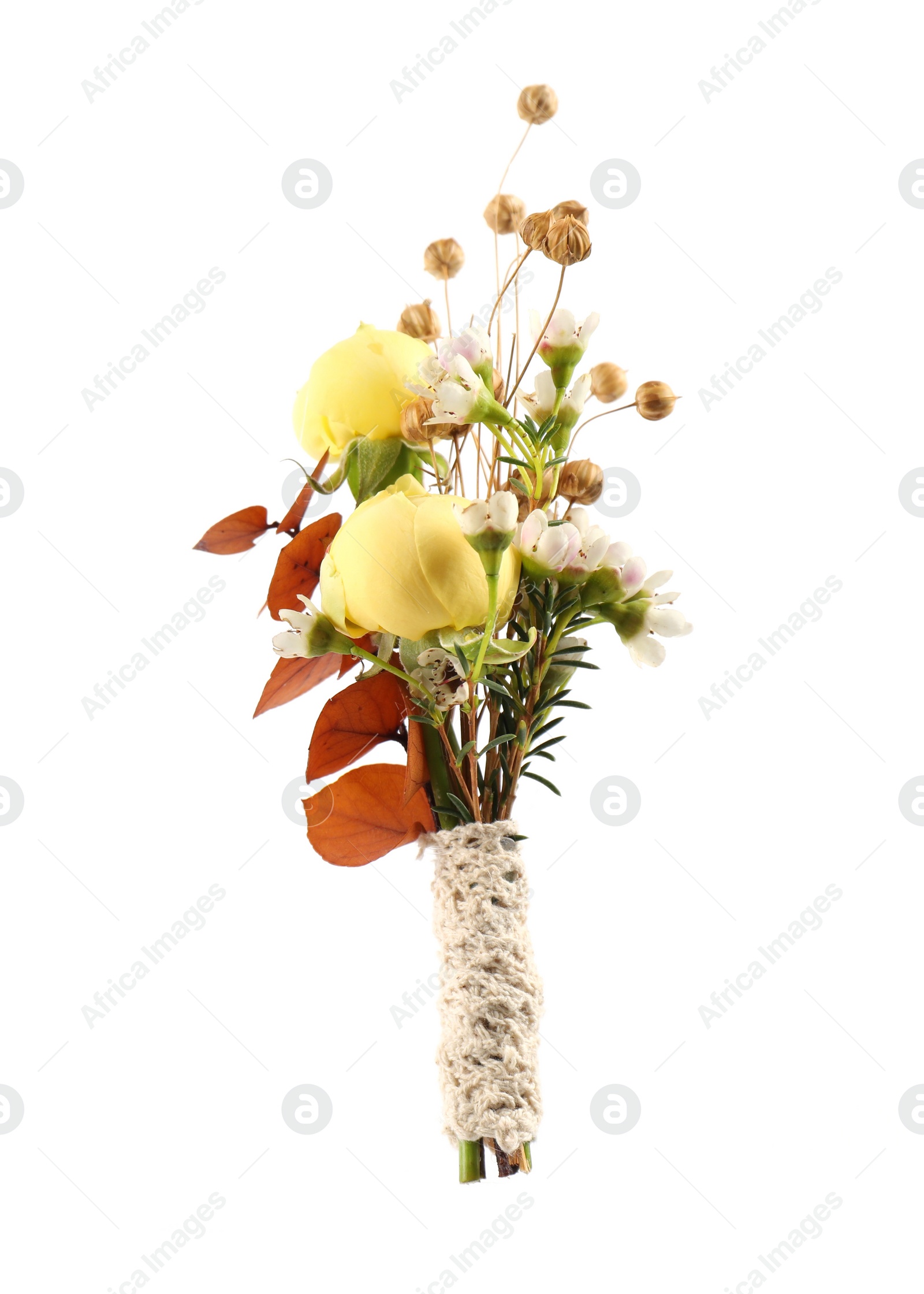 Photo of Boutonniere with beautiful flowers isolated on white