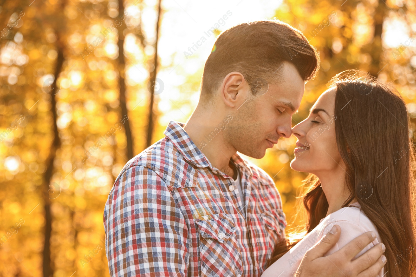 Photo of Happy couple in sunny park. Autumn walk